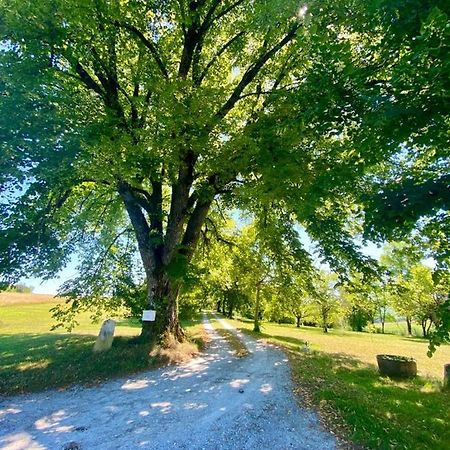 Gite De L'Edelinie Nanteuil-Auriac-de-Bourzac Dış mekan fotoğraf