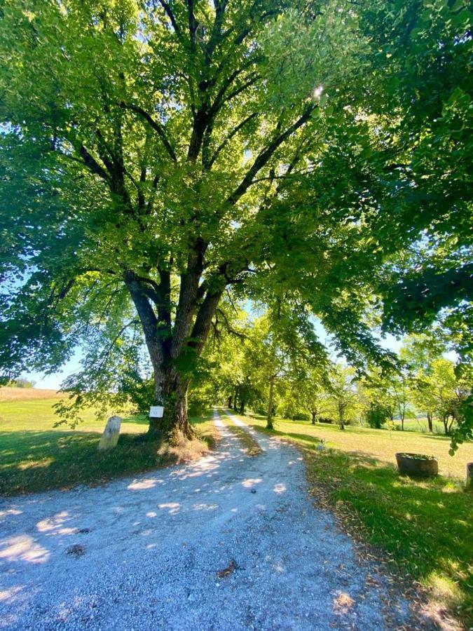 Gite De L'Edelinie Nanteuil-Auriac-de-Bourzac Dış mekan fotoğraf